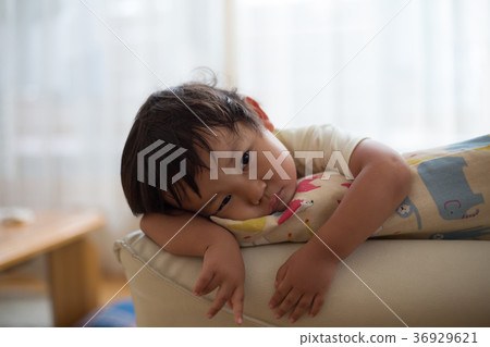 3 years old, little child, toddler 36929621