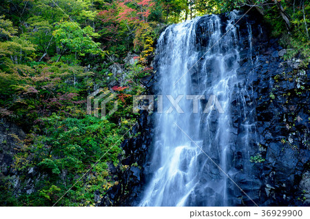 Tachimami Valley One瀑布秋田縣 Tachimami Valley One瀑布秋田縣 36929900