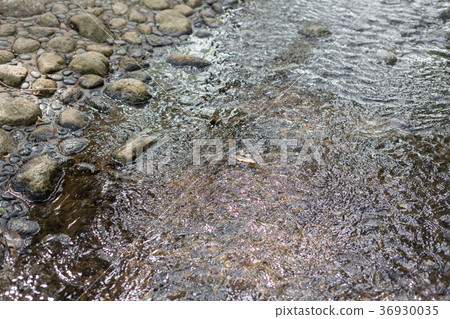 brook, creek, rivulet 36930035