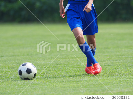 足球足球 36930321