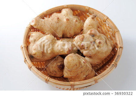 菊久茂 菊久茂 36930322