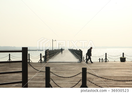 Shanghai, Chongming Island, Xisha Wetland, Yangtze River, Metasequoia Forest, Wetland, Mingzhu Lake Shanghai, Chongming Island, Xisha Wetland, Yangtze River, Metasequoia Forest, Wetland, Mingzhu Lake 36930523