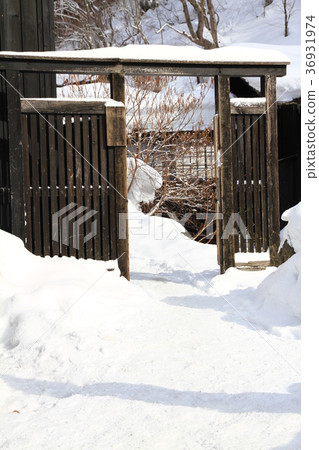 冬陽映雪 冬陽映雪 36931974