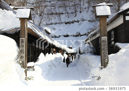 冬陽映雪 冬陽映雪 36931975