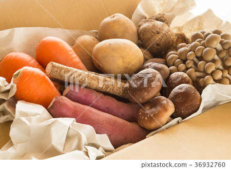 Fall Vegetable Contract Farmer Home Delivery Directly Sending Taste of Autumn 36932760