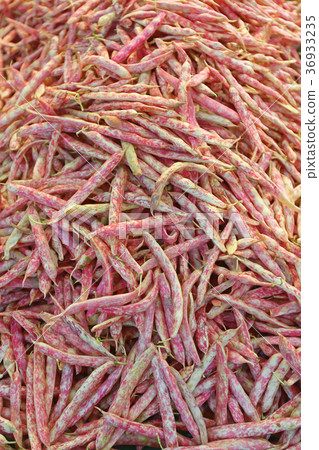 Beans Borlotti 36933235