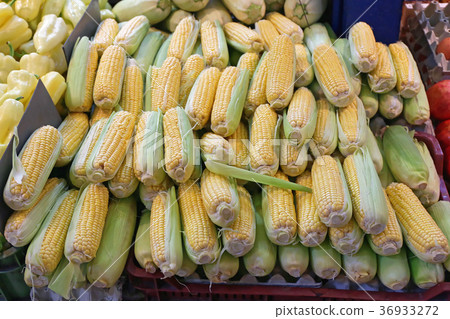 Corn Ears 36933272