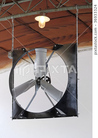 Fan in Barn 36933324