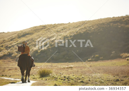 Wandering women 36934357