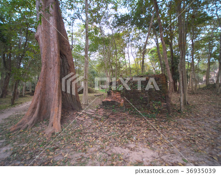 World Heritage Site Sanbo Play Cook World Heritage Site Sanbo Play Cook 36935039