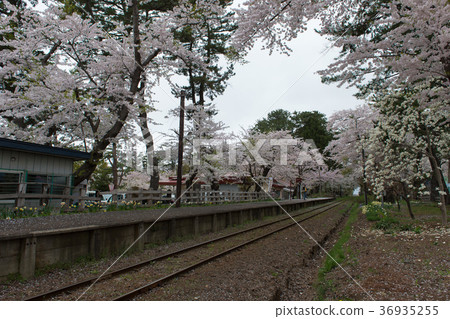 Hino Park Station and Sakura Hino Park Station and Sakura 36935255