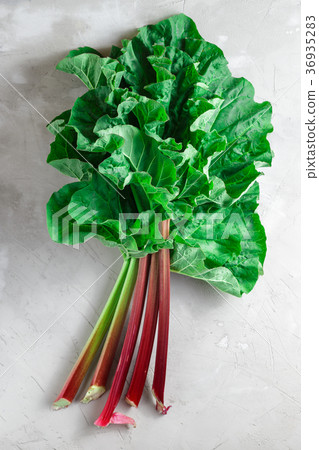 Fresh organic rhubarb on grey concrete background 36935283