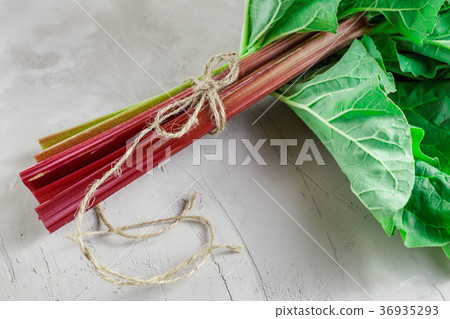 Fresh organic rhubarb on grey concrete background Fresh organic rhubarb on grey concrete background 36935293