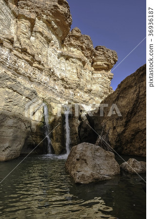 Oasis on desert 36936187