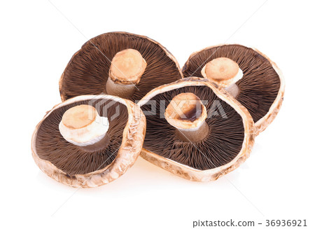Portobello mushroom isolated on white background 36936921