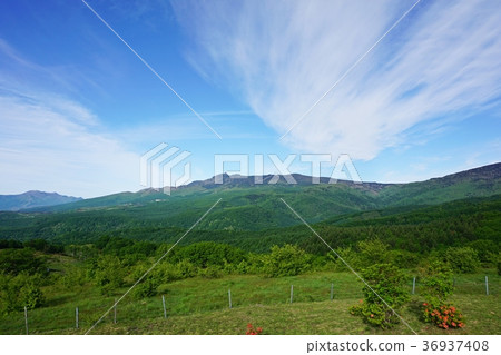 View of Mount Asama from Tsumagoi Ranch 36937408
