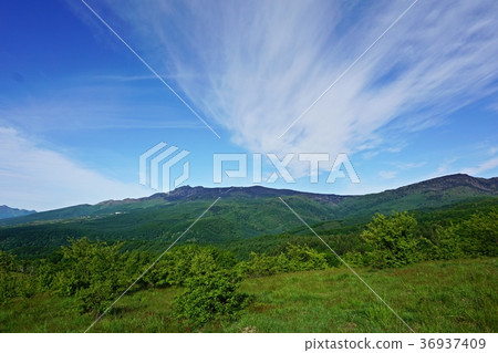 View of Mount Asama from Tsumagoi Ranch 36937409