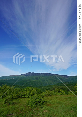 View from Tsumagoi Ranch 36937410