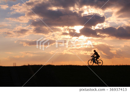 Bicycle silhouette 36937413