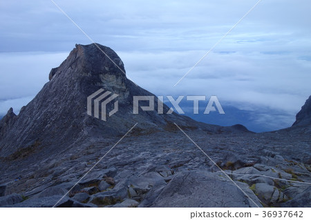 京那巴魯山 36937642