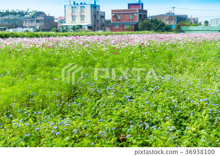 郊區郊區漱口郊區Takuma農村鄉村Nakano Hanami gi 36938100