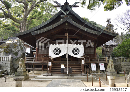 Onomichi Kashiwa Shrine（廣島縣尾道市） 36938227
