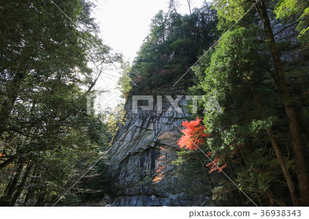 Mugen Kogen, Ehime Prefecture, Mukae Ogi Mugen Kogen, Ehime Prefecture, Mukae Ogi 36938343
