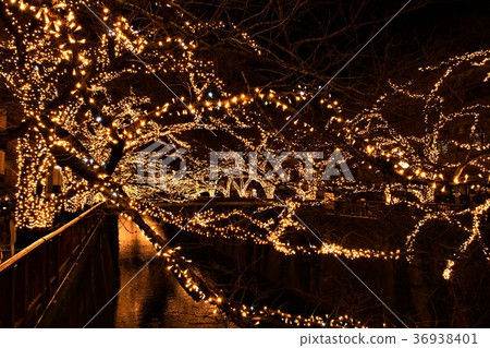 Meguro River illuminations 36938401