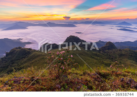 beautiful sunrise and View Point in Thailand beautiful sunrise and View Point in Thailand 36938744