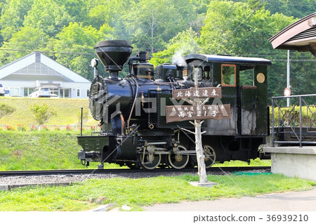 Forest Railway steam locomotive, Amamiya 21 36939210