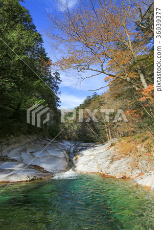 Mugenkei,Kumantogen-cho,愛媛縣,Ishikawa路線的風景 Mugenkei,Kumantogen-cho,愛媛縣,Ishikawa路線的風景 36939377