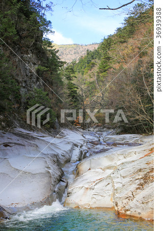 The scenery of Mugenkei, Kumantogen-cho, Ehime Prefecture, Ishikawa course 36939388