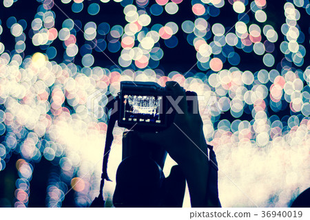 Twinkling Christmas 36940019