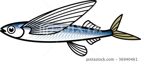 飛魚（以前） 36940461