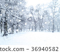 Winter  snowfall landscape. Snowy park. 36940582