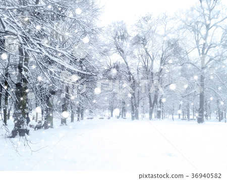 Winter snowfall landscape. Snowy park. Winter snowfall landscape. Snowy park. 36940582
