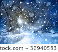 Winter night snowy park. 36940583