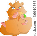 Hamster lying eating carrot 36940866