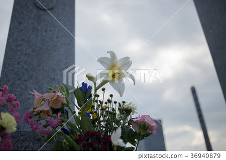 visiting a grave, grave, tomb 36940879