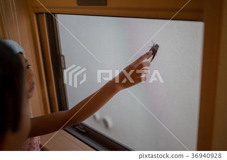 窗口 窗戶 窗 36940928