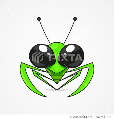Mantis vector illustration 36941088