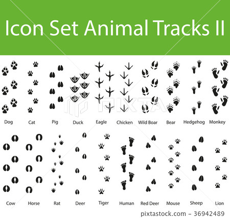 Icon Set Animal Tracks II 36942489