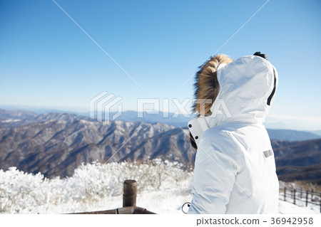 Woman, winter, snow, Mt. 36942958