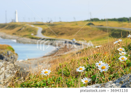 Ashiyazaki Lighthouse Blue Sky 36943138