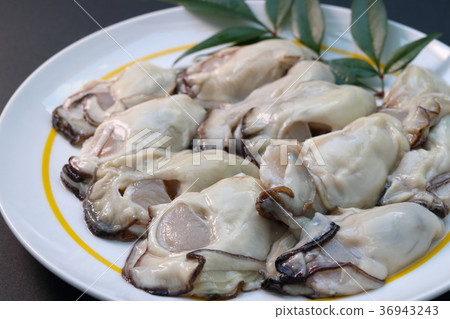 新鮮的牡蠣 新鮮的牡蠣 36943243