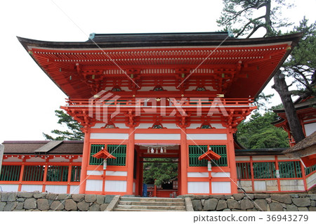 日本大崎神社 日本大崎神社 36943279