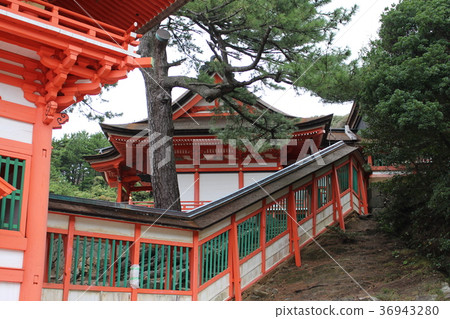 筱崎神社場地 36943280