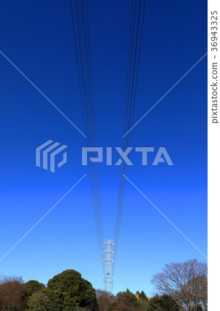 Clear Blue Sky and Transmission Line Koganei Park 36943325