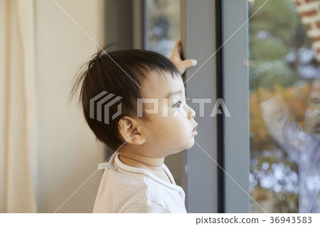 Infant, Korean 36943583