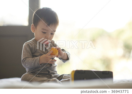 嬰兒，男人，可愛，韓國人 36943771